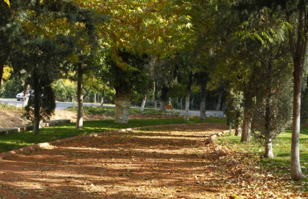 Gaziantep'te Gazel Depeleme Zamanı... Gaziantep'e Has Gazel Depeleme Geleneği Nedir? 2